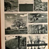 Ancienne carte de la France climatique de 1945