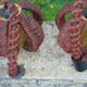 Pair of braid rope hanging  1960/70