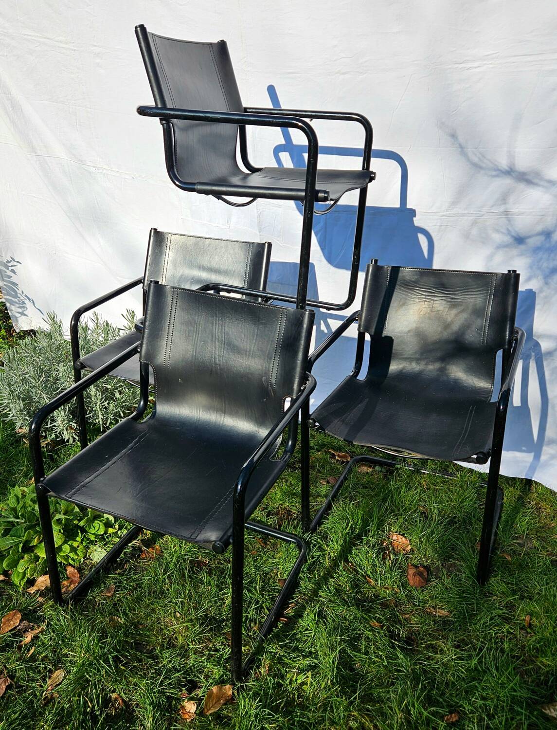 4 Matteo Grassi armchairs in black leather