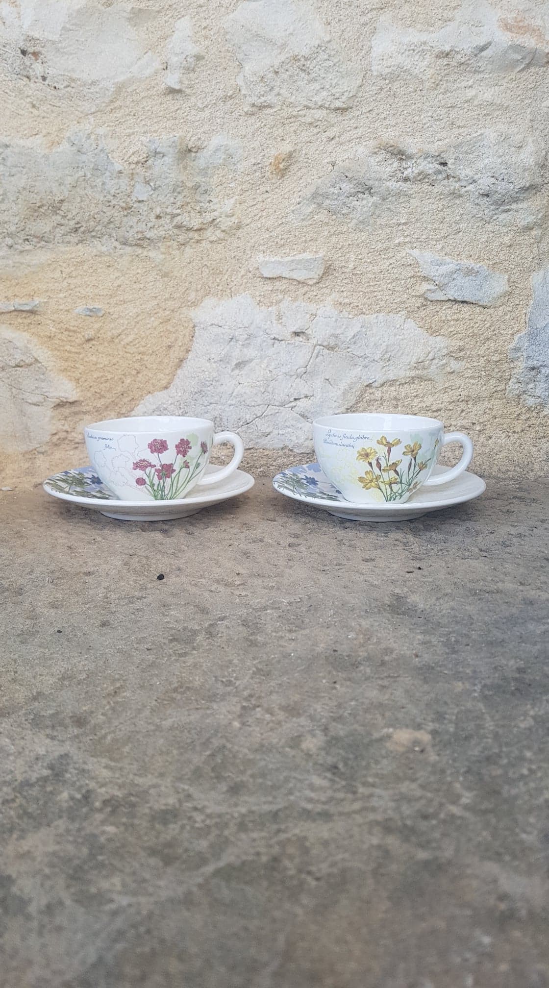 Set of 2 cups Gien L'Herbier du Roy