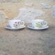 Lot de 2 tasses gien l'herbier du roy