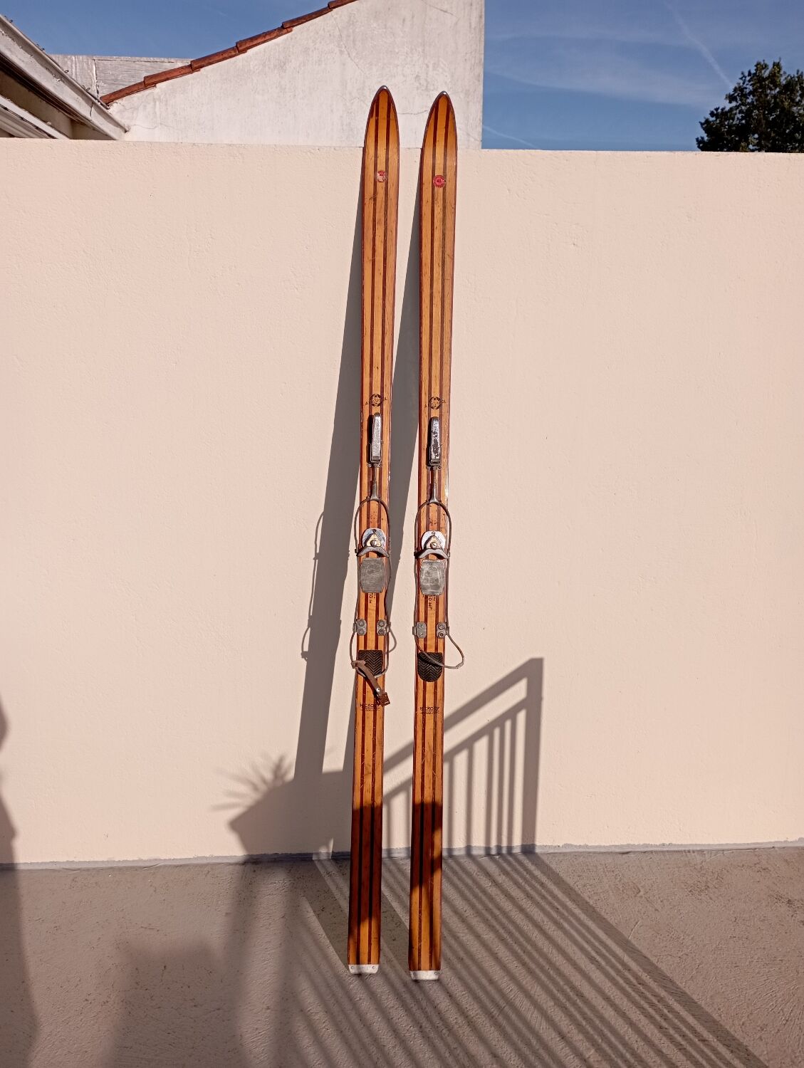 Ski Rossignol Hickory Olympic 41