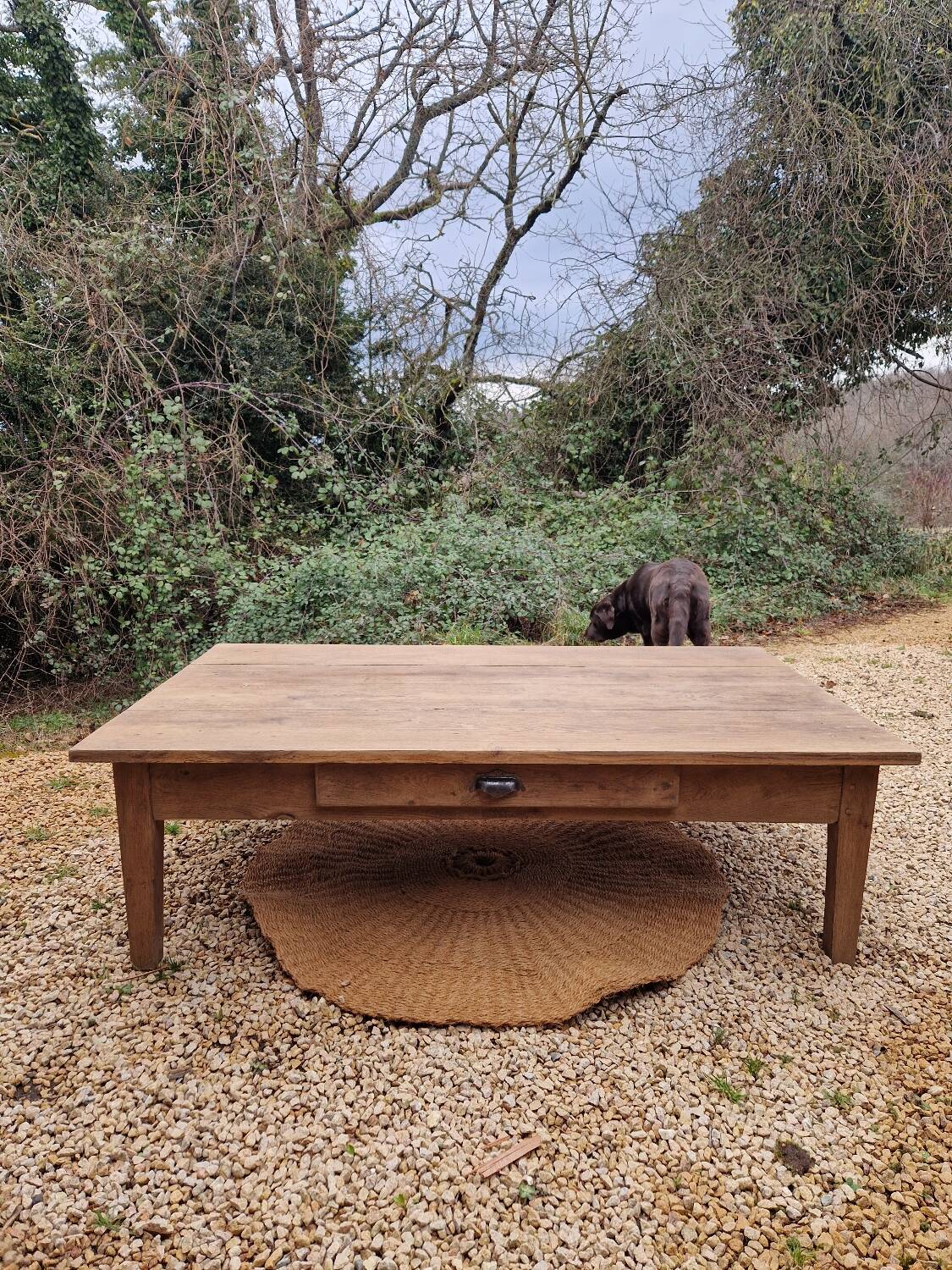 Table basse en chêne