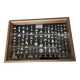 Showcase with fossil