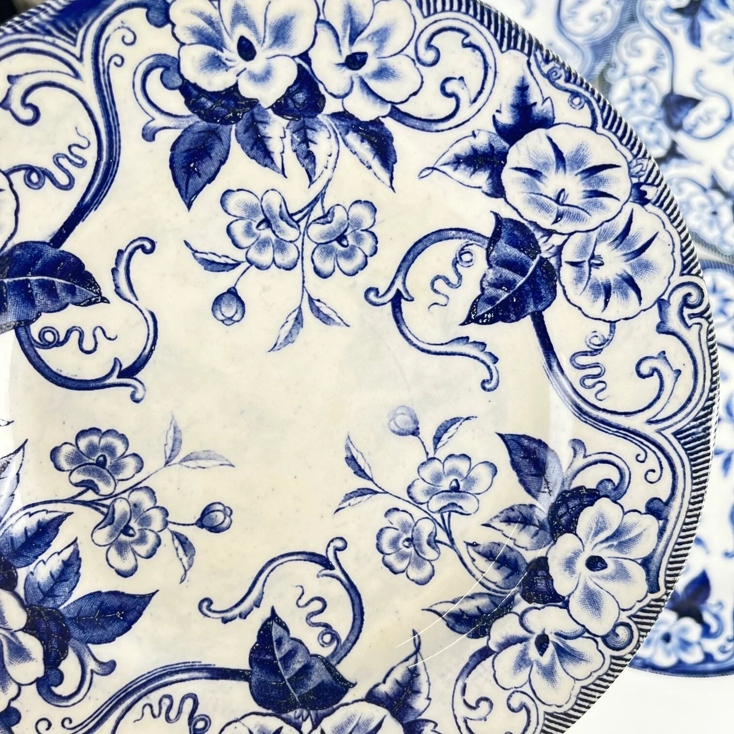 Set of 6 dessert plates in ironstone "Flora" – Creil et Montereau, 19th century, blue