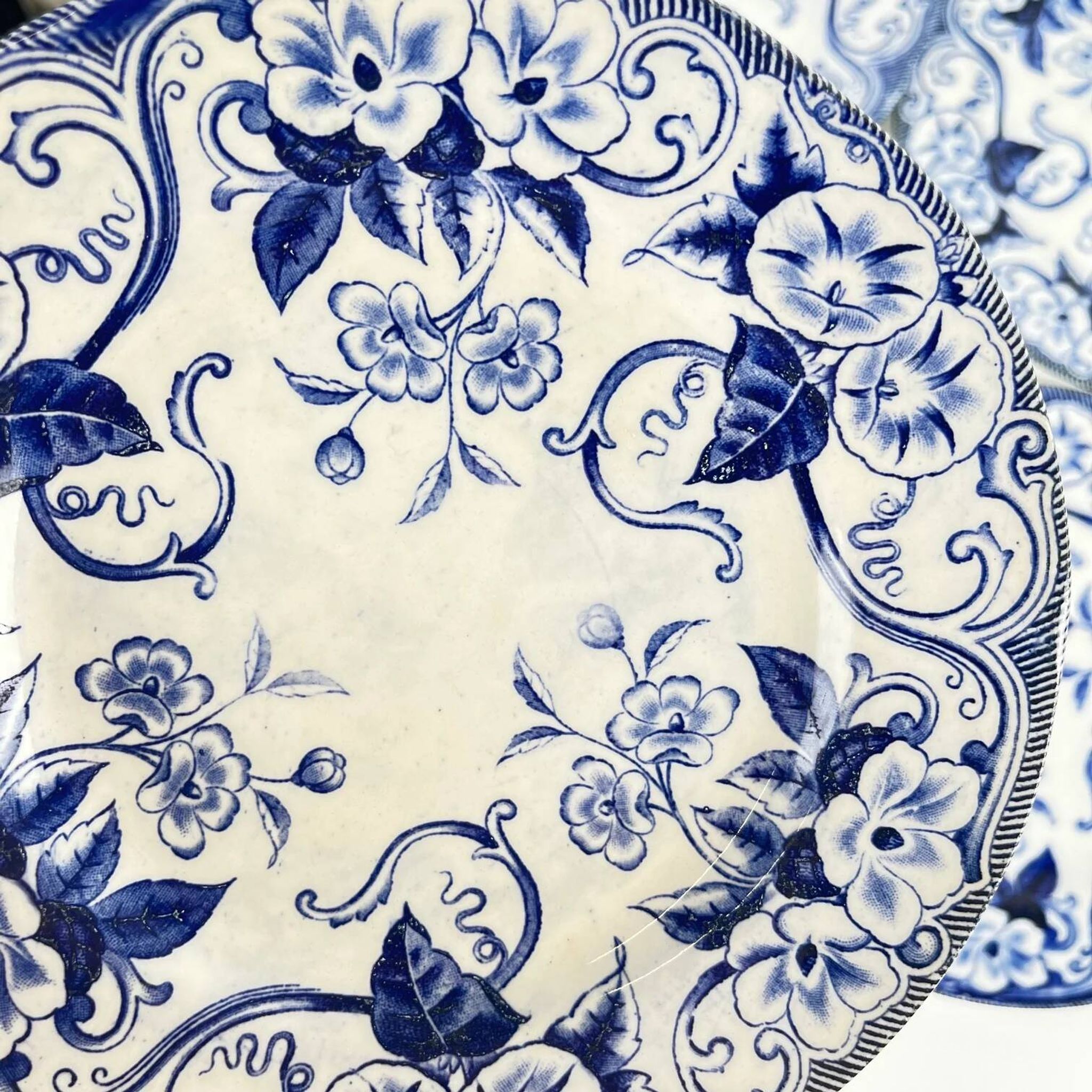 Set of 6 dessert plates in ironstone "Flora" – Creil et Montereau, 19th century, blue