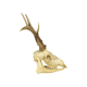 Deer skull taxidermy complete antlers skull deer 33cm