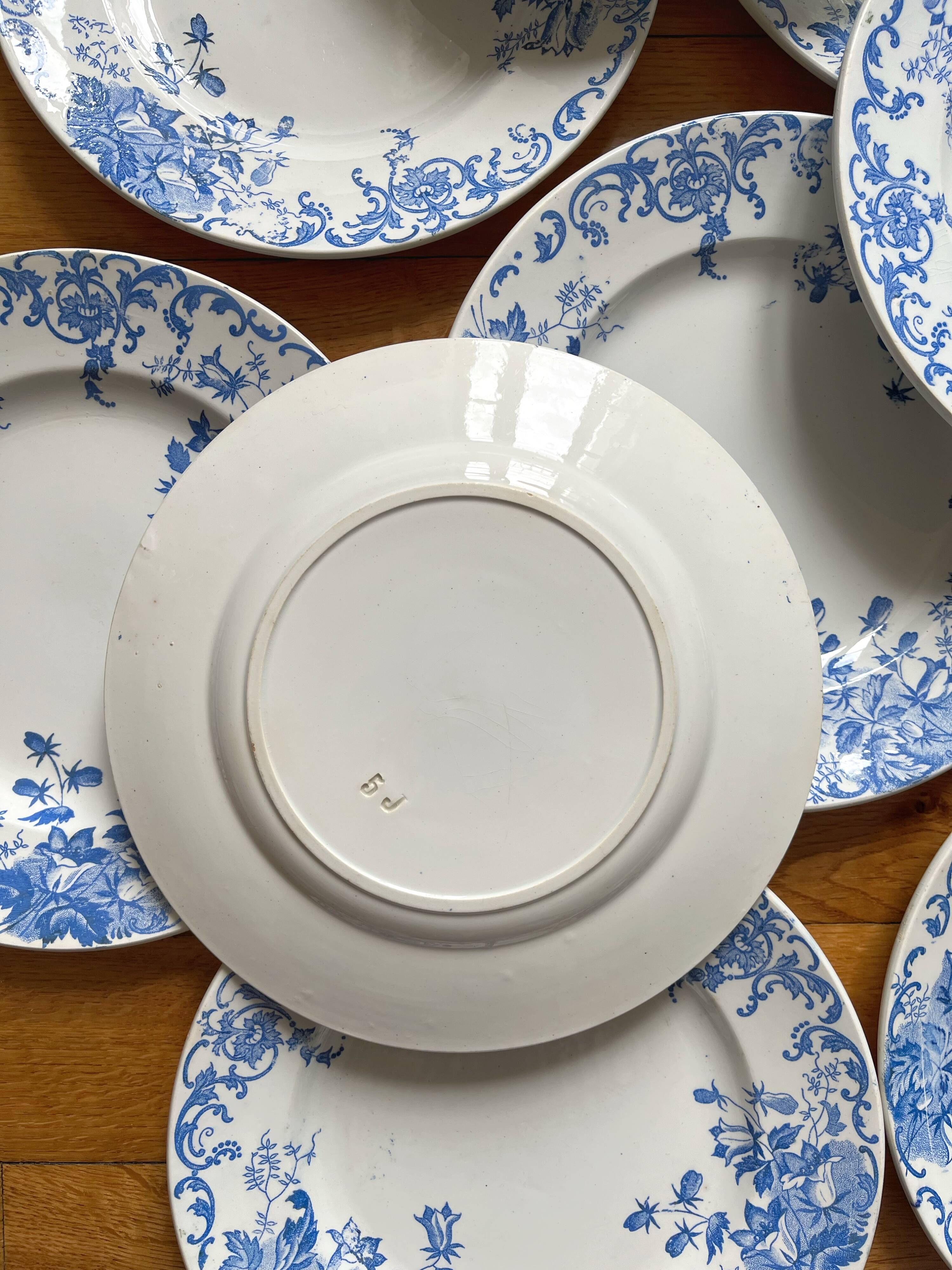 12 small flat plates "Campanule" Saint Amand and Hamage