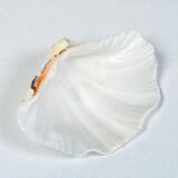 large shell-shaped ashtray Tridacna natural vintage 1970s