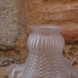 Glass tulip for lamp