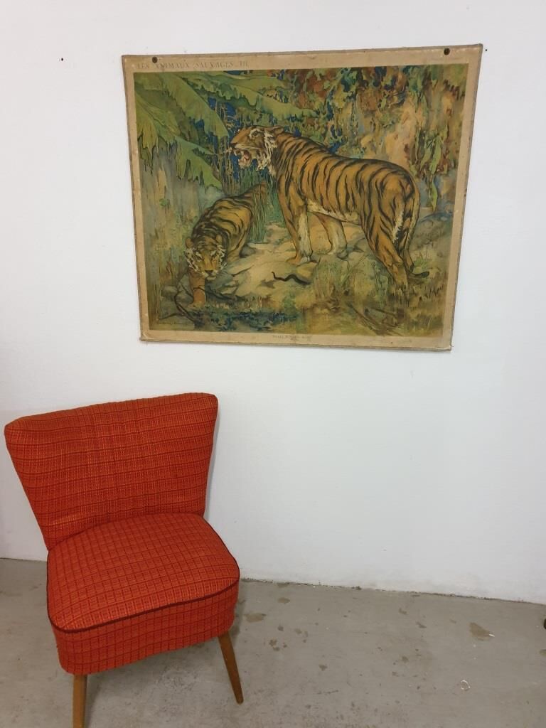 School Poster - The Royal Tigers