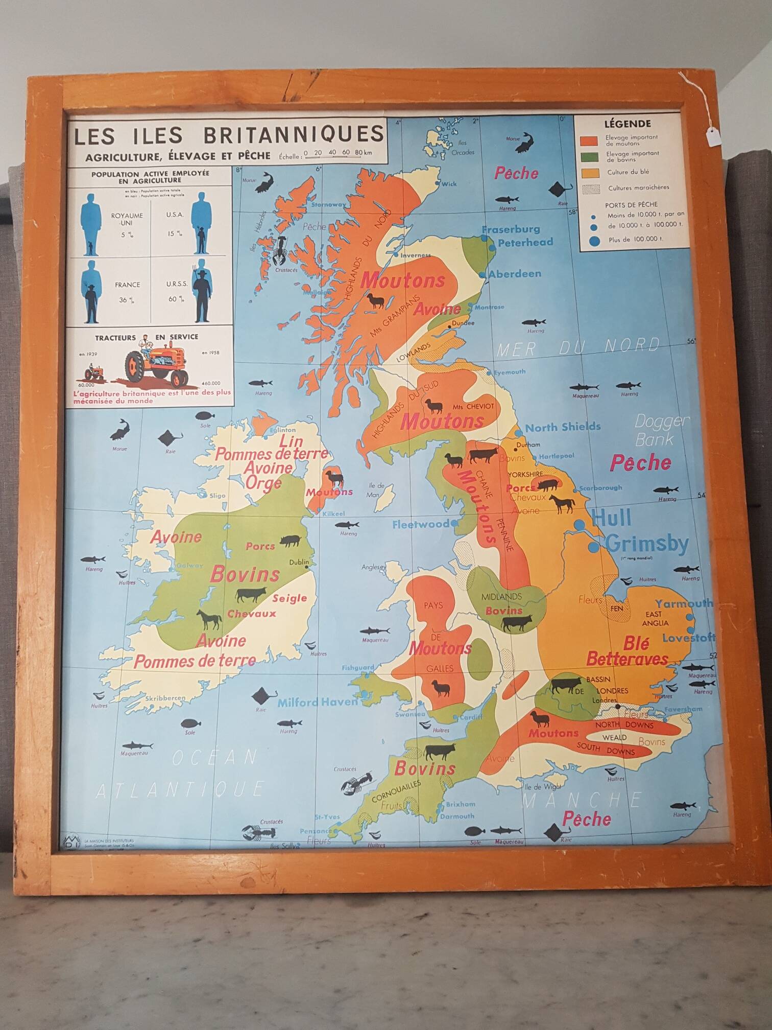 Vintage school map