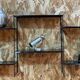 Vintage wall shelf from the 1960s