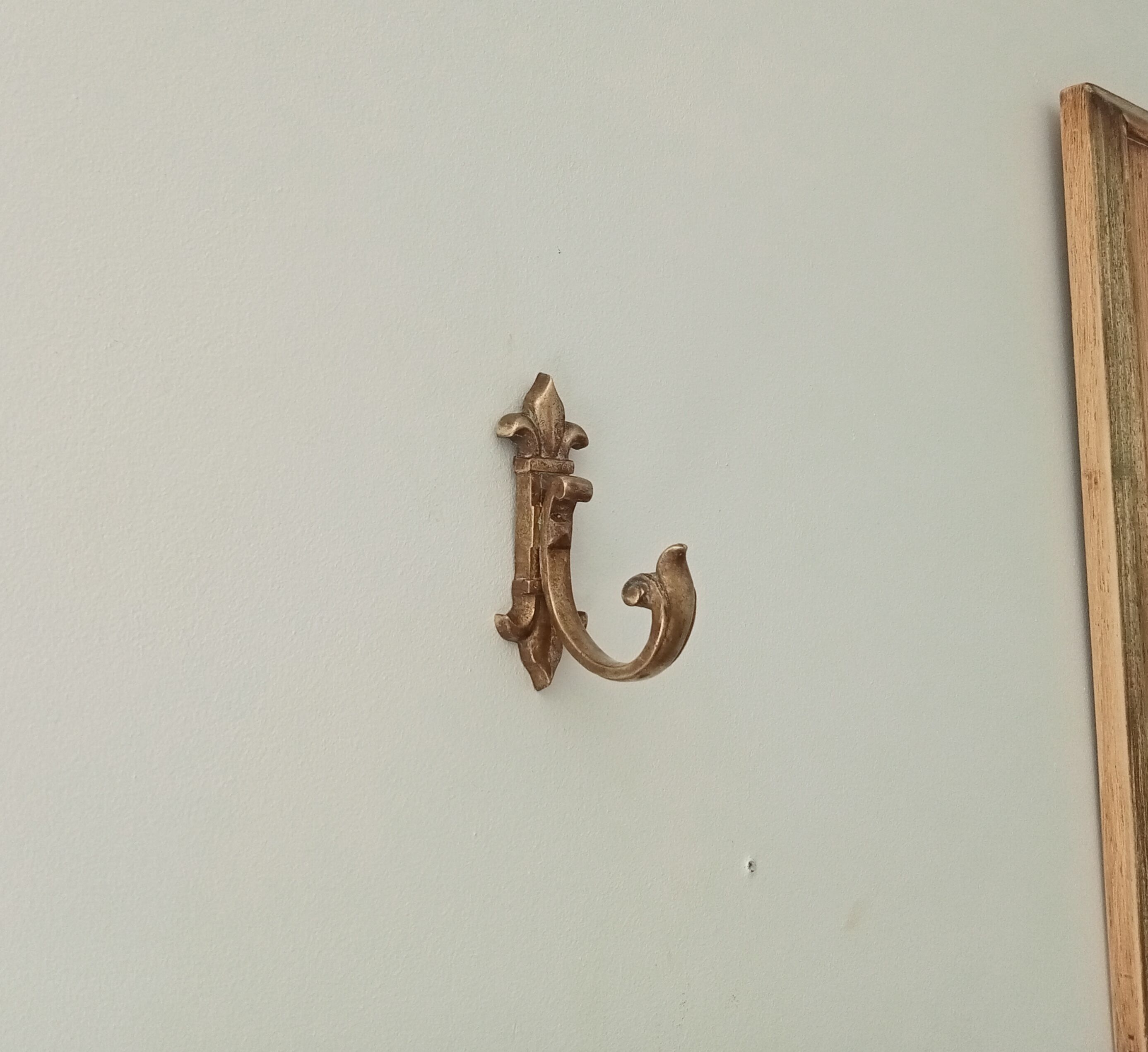 Bronze coat hook xixth