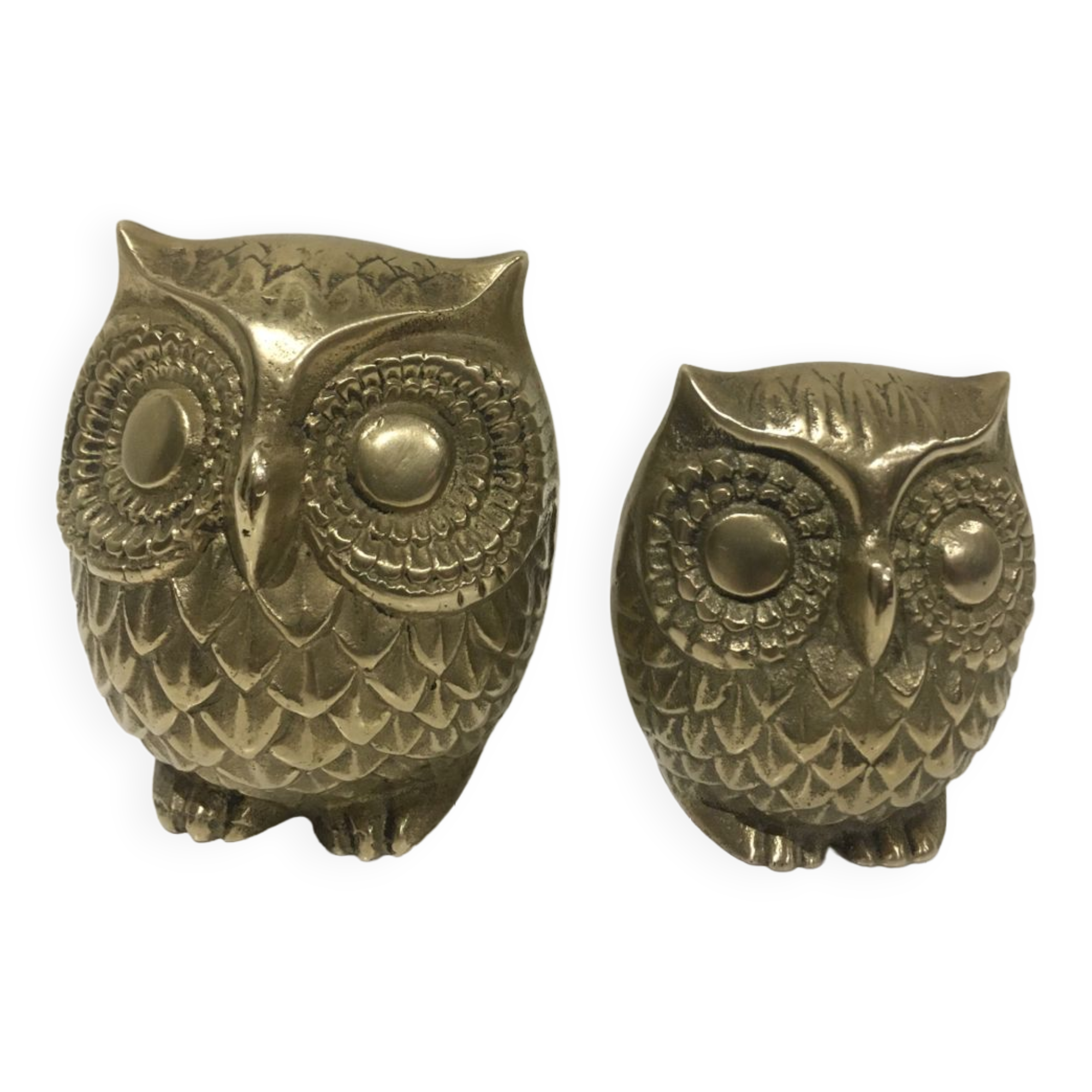 Brass owl duo