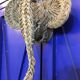 Elephant head trophy in doum leaves, handmade, 100% natural