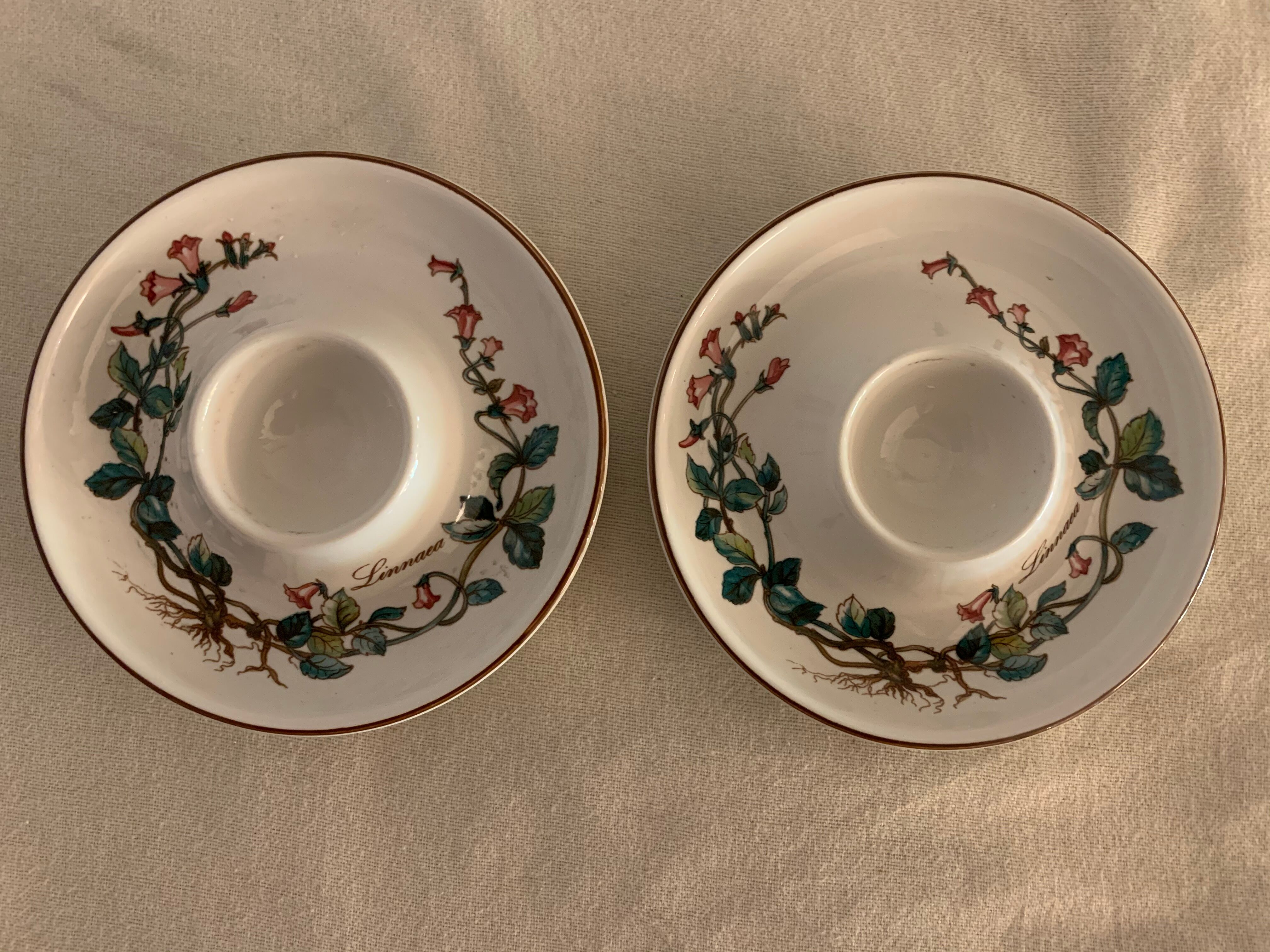 Pair of cockroaches Botanica Linnaea or Twinflower de Villeroy and Boch