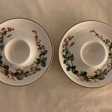 Pair of cockroaches Botanica Linnaea or Twinflower de Villeroy and Boch