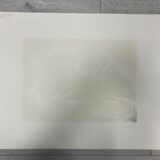 Illustration Le Bois des Cocotiers