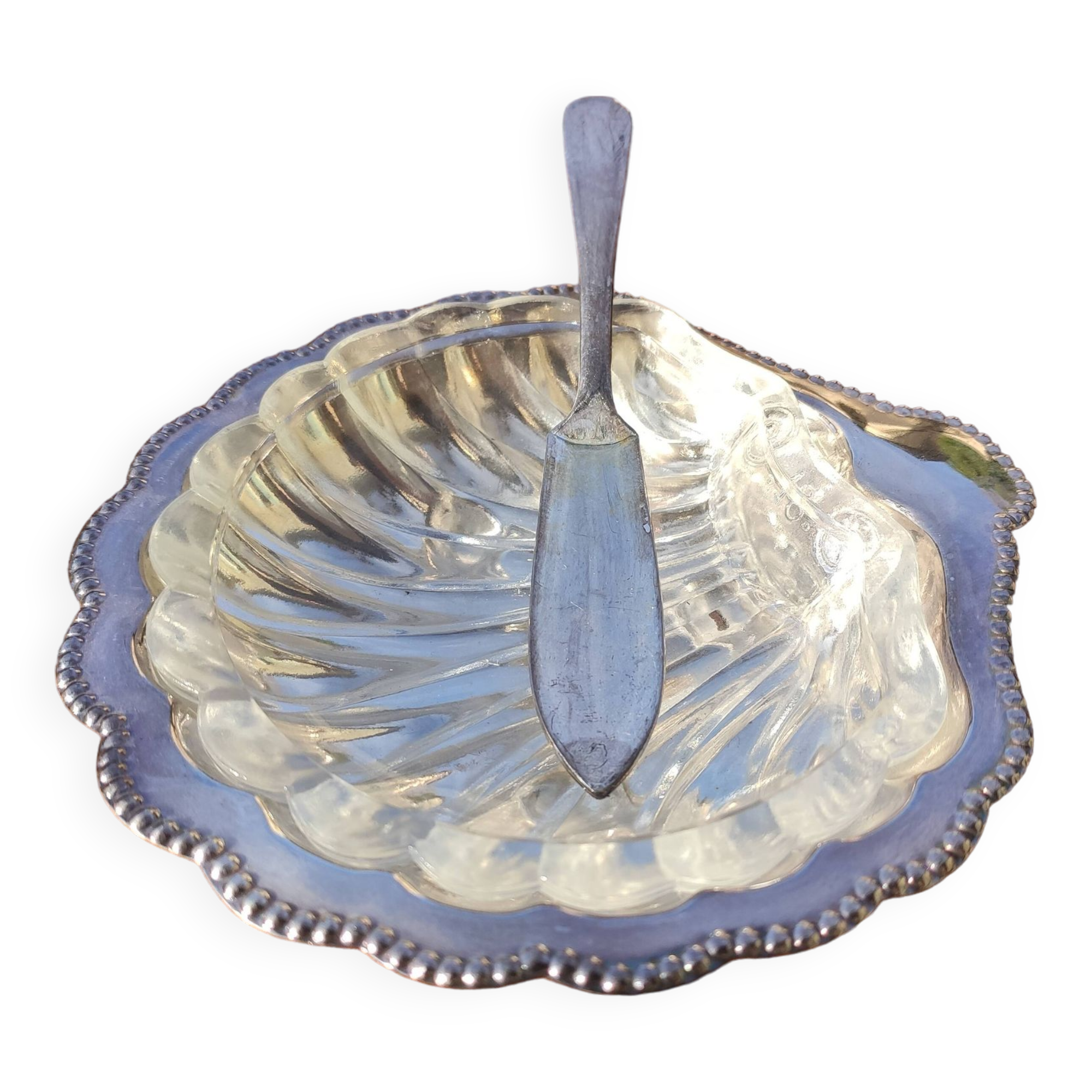Old shell butter dish