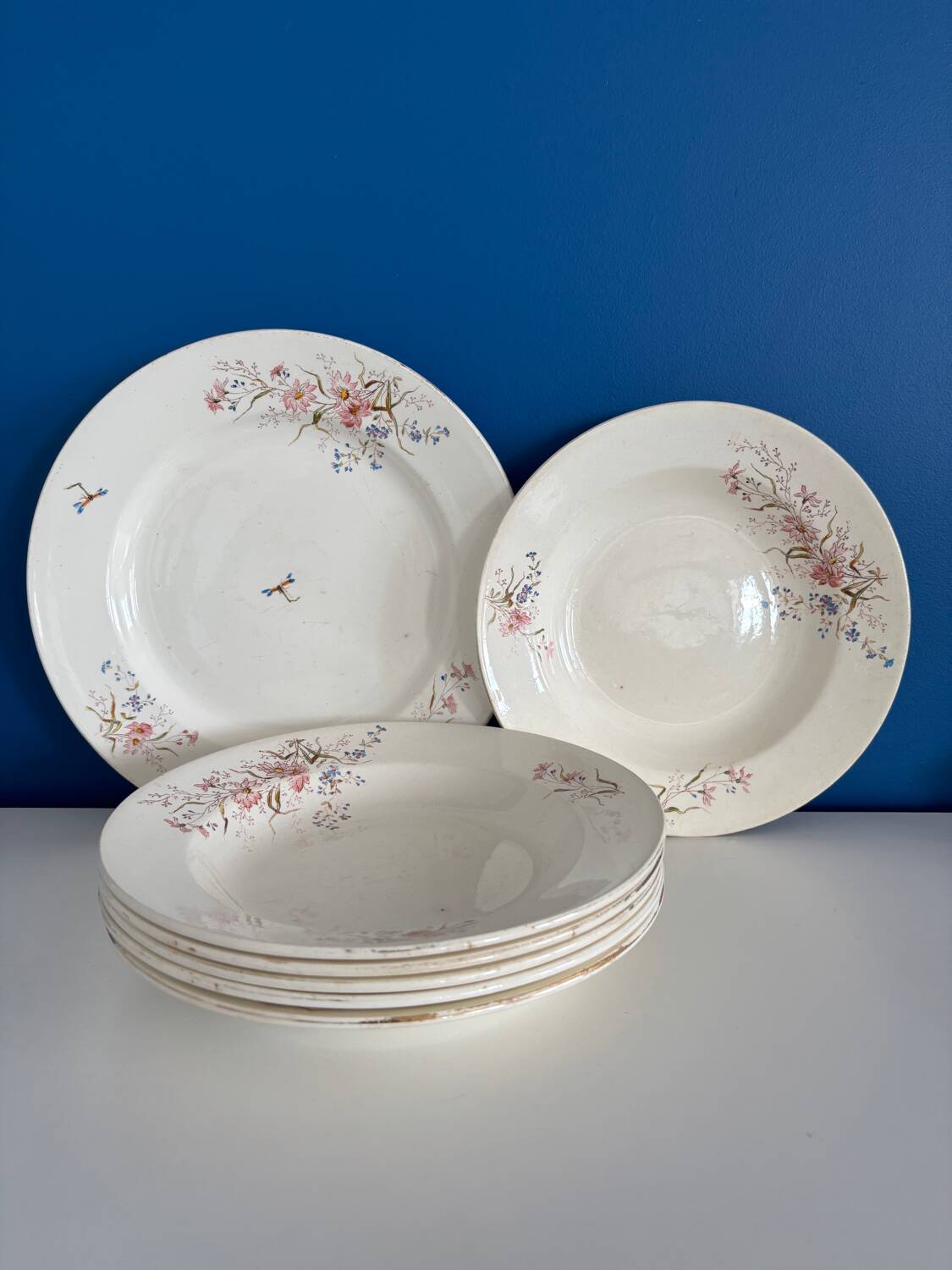 Set of 6 soup plates and 1 dish in polychrome ironstone Choisy-le-Roi