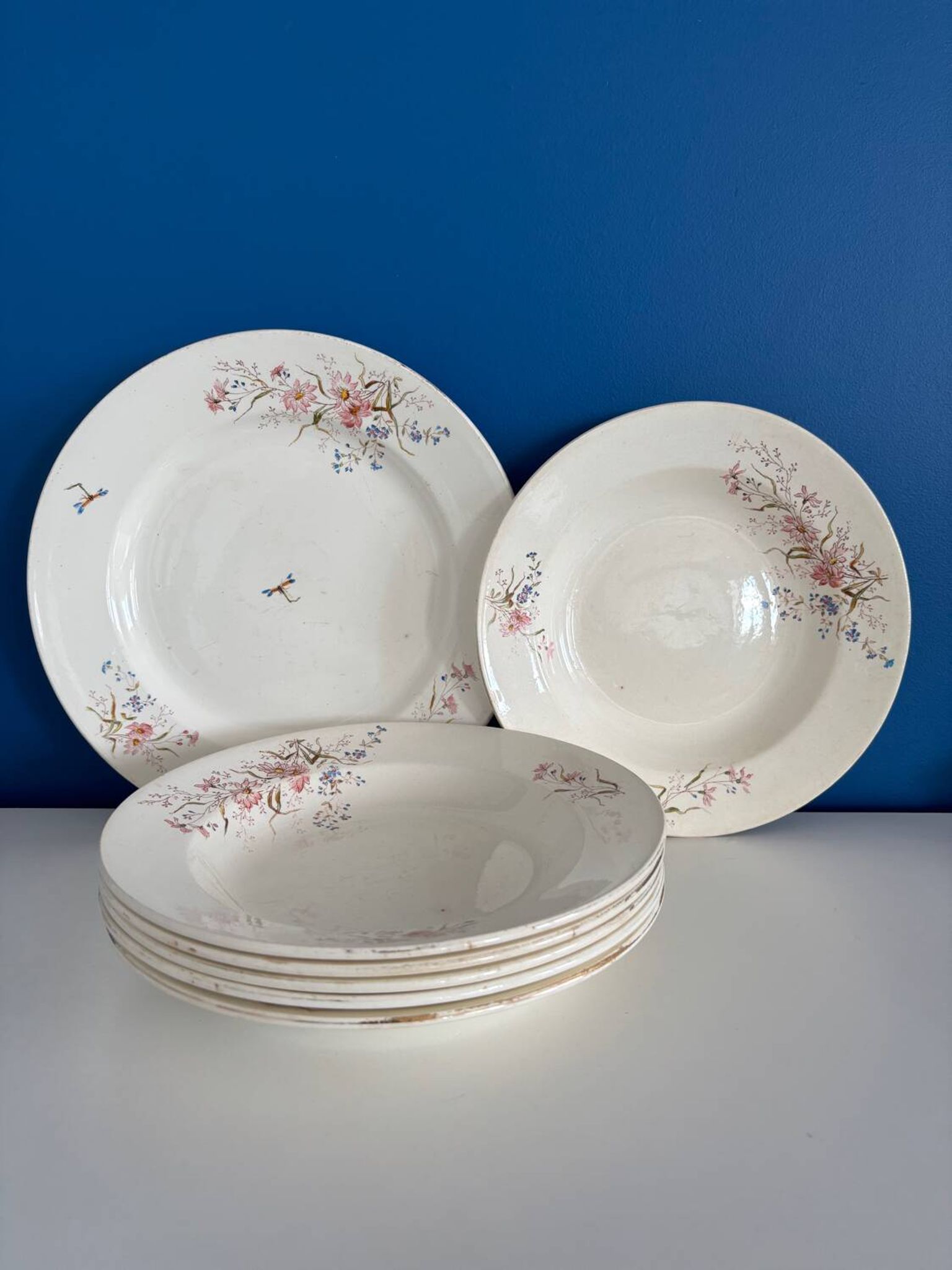Ensemble de 6 assiettes creuses et 1 plat en terre de fer polychrome Choisy-le-Roi