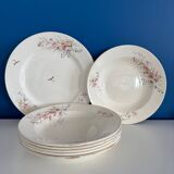 Set of 6 soup plates and 1 dish in polychrome ironstone Choisy-le-Roi
