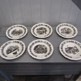 Set of 6 humorous plates on the Train Delarue-nouvellière Gien