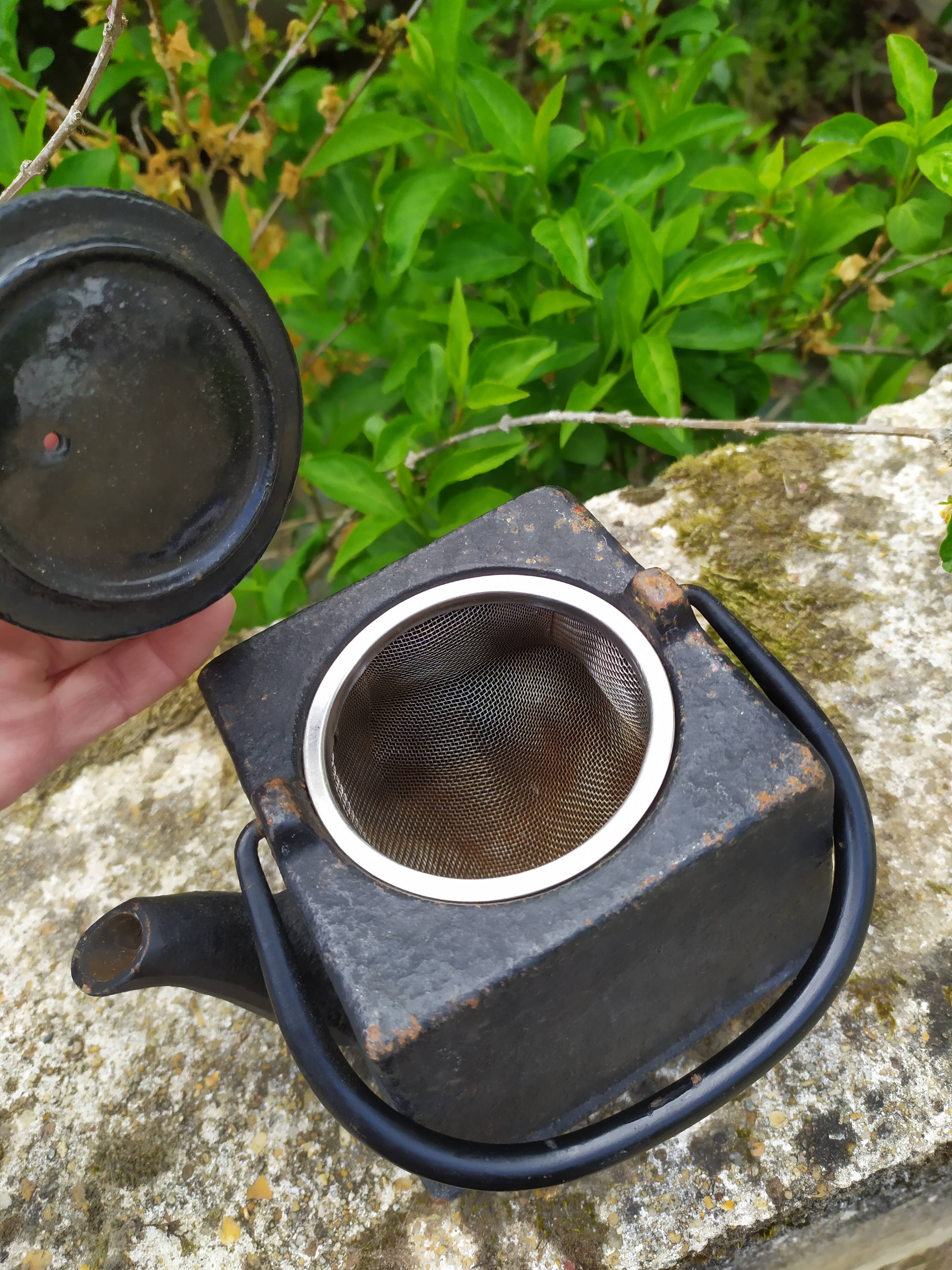 small cast iron teapot