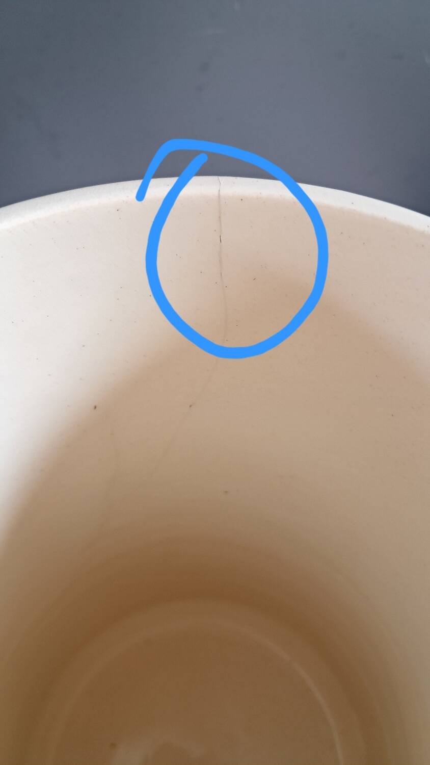 Broc Moulin des Loups