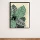 Illustration "Tropical leaves" by Noums Atelier