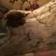 Walnut console style Louis XV marble top, epoque Napoleon III
