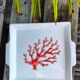 Square serving dish