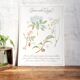Planche botanique tisane contre la grippe