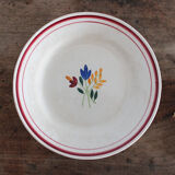 Jeannette flat plates