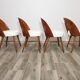 Dining Chairs by Antonin Suman, 1960s, Set of 4