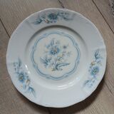 12 antique dessert plates in Chauvigny porcelain