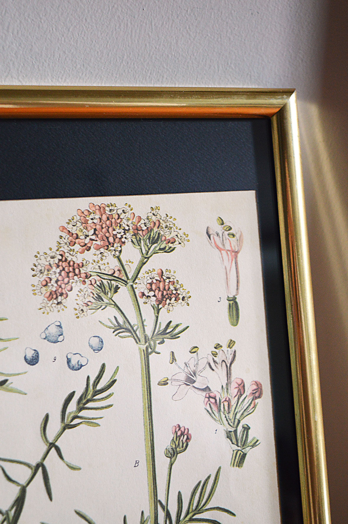 Framed pharmaceutical poster