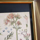 Framed pharmaceutical poster