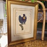 Bird engraving