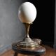 Ostrich egg on brass base