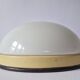Pair of Midcentury Wall or Ceiling Lamps, Flush Mount, 1950s