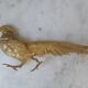 Set of 2 brass sculptures, pheasant couple