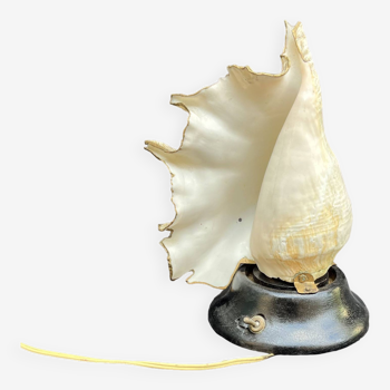 Shell Lamp