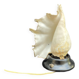 Shell Lamp