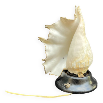 Shell Lamp