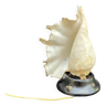 Shell Lamp