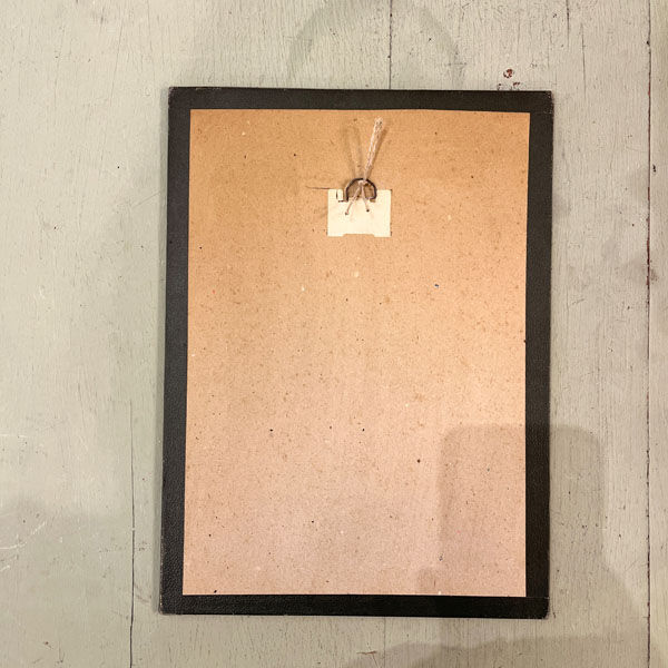 Botanical board framed under glass