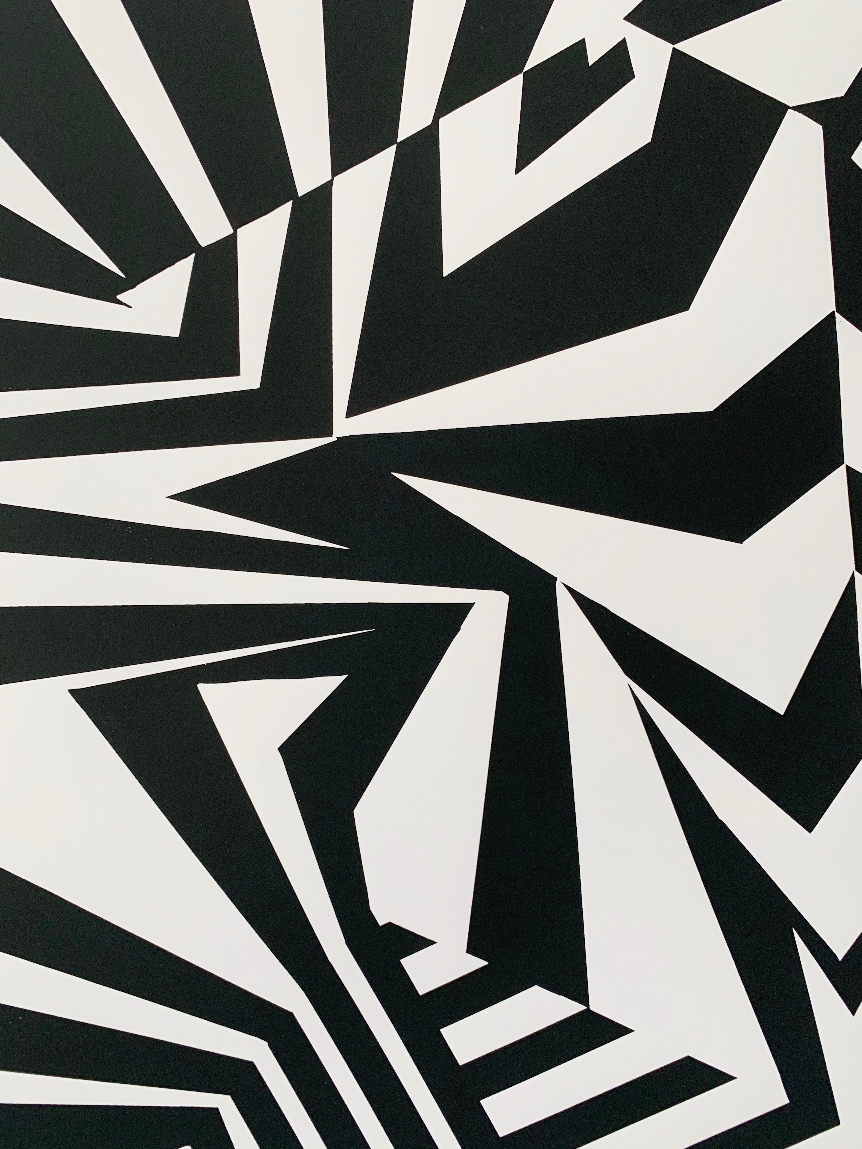 Razzle dazzle silkscreen