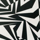 Razzle dazzle silkscreen